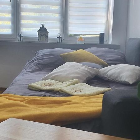 Apartament Park Saski Sandomierz Dış mekan fotoğraf