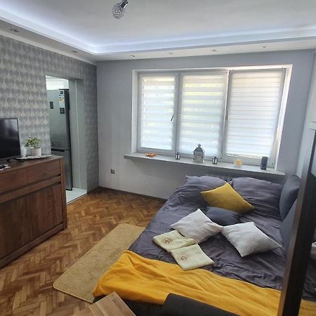 Apartament Park Saski Sandomierz Dış mekan fotoğraf