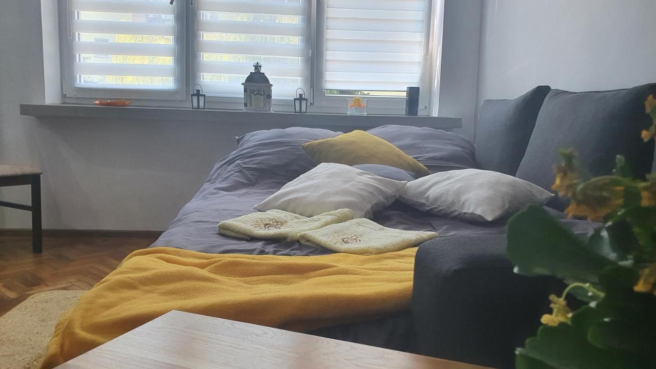 Apartament Park Saski Sandomierz Dış mekan fotoğraf